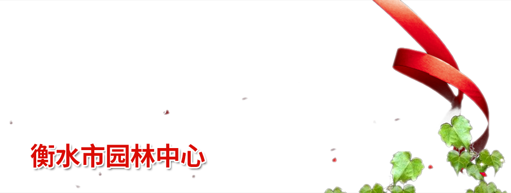 智齒科技_一體化客戶聯絡中心解決方案